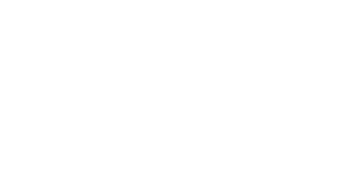 Security Solutions Sneek